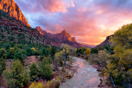 Zion National Park Tour